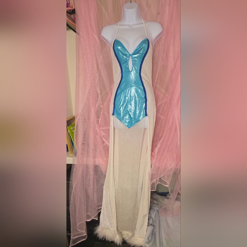 Blue and White Costume Dress